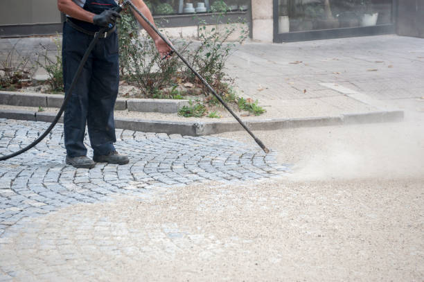 Best Roof Washing  in Waverly, NY