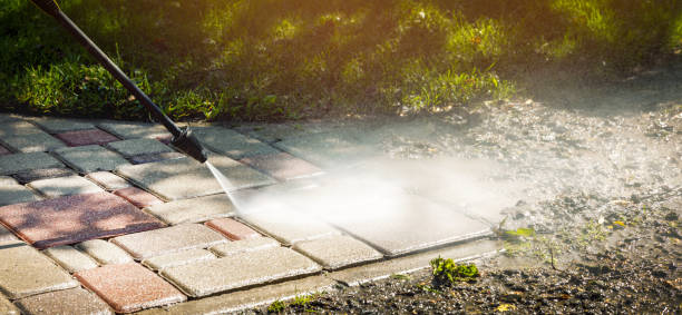 Best Driveway Pressure Washing  in Waverly, NY